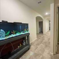 Josh's room