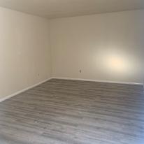 Benzo's room