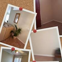 Rose's room