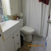 carol's room