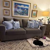 Taylor's room