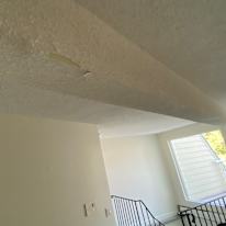 Cameron Routliffe's room