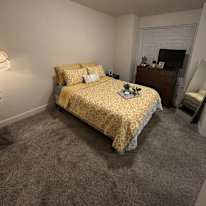 Vincent's room