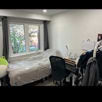 Talha's room