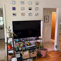 Allie's room