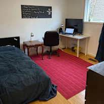 farshad's room