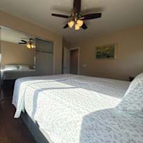 maggie's room