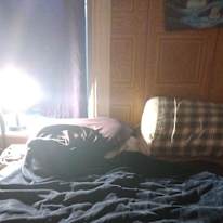Cat Pasquale's room