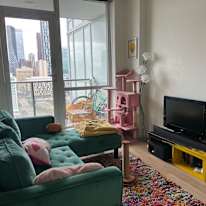 Alison Elewa's room