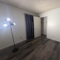 Ryn's room