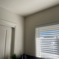 Lily's room