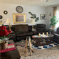 Sally Grzedzicki's room