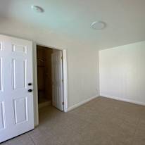 Vibha's room