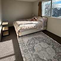 Cherry's room