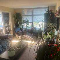 Richard Romano Carlsen's room