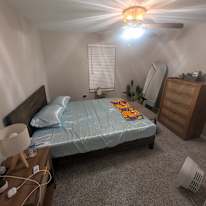 Edwin's room