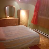 Marius Georgescu's room