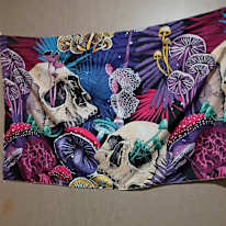 Aloni Hughes's room