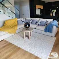 Lily bo's room
