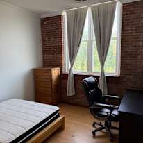 Theo Rex's room