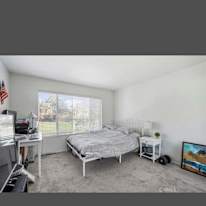 Shawn's room