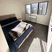 Shayal's room