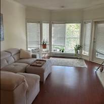 Rasa Petronis's room