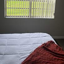 Carlos's room