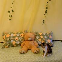 Kubra's room