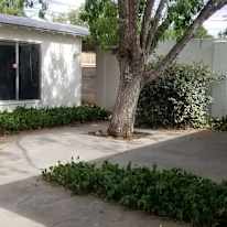 Renee Room's room