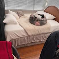 Jayci's room
