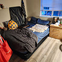 Michael S Masin's room