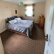 Zvinimir Bogdan's room