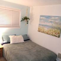 Susan Cook's room