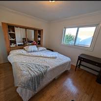 Lily's room
