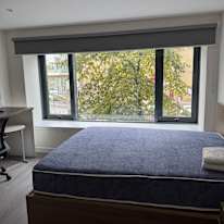 Alyana's room