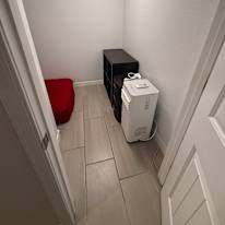 Solomon's room