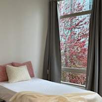 Van House's room