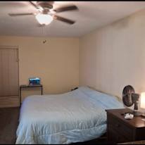 Professor Carlos's room