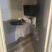 Serge Arbitman's room