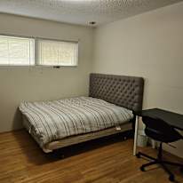 Dave's room