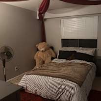 Sophie love's room
