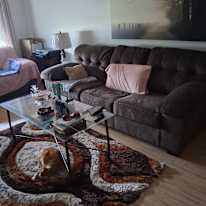 Mary's room