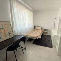 Zen's room