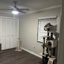 Cheyleen Anez martinez's room