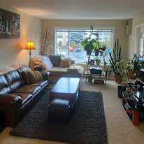 Neil's room