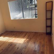 Stew's room