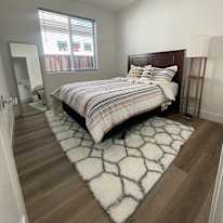 Luis's room