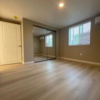 Koko's room
