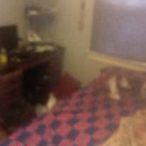 Mike's room